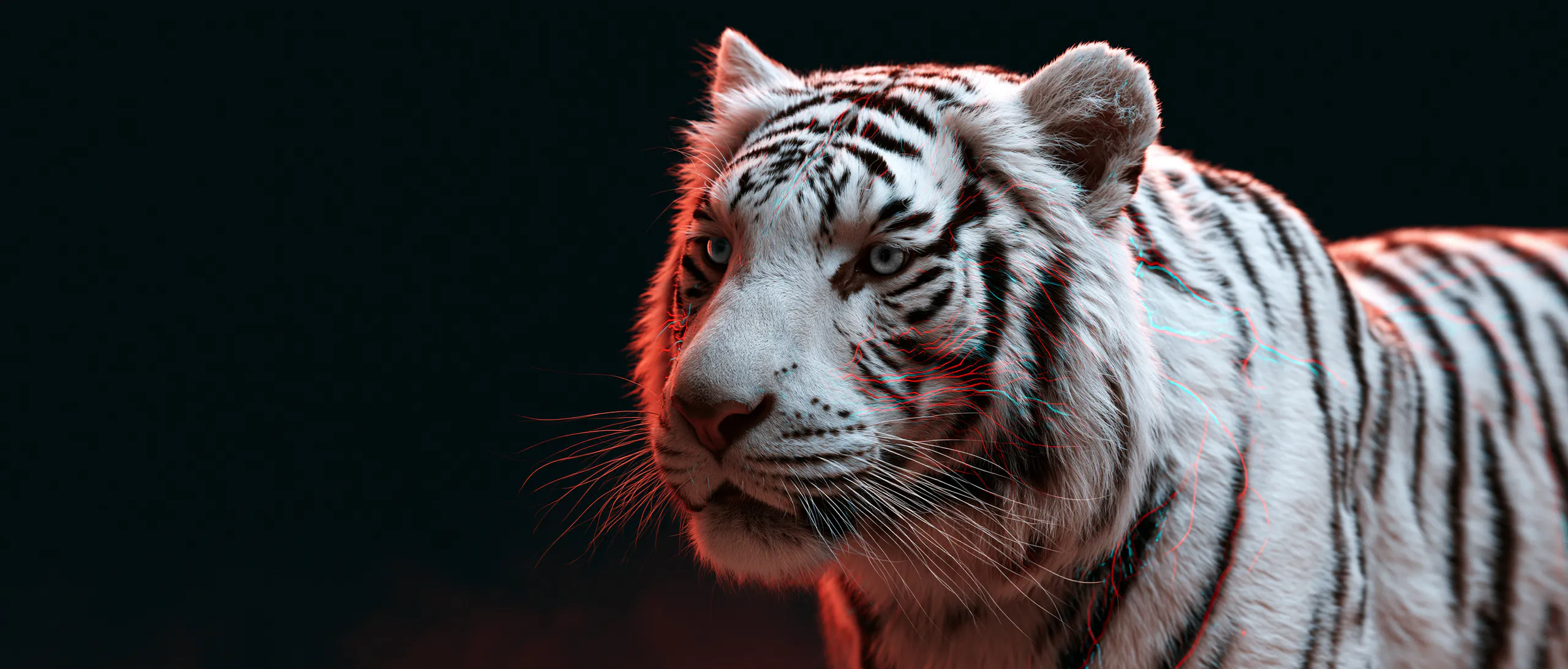 White tiger artwork for The Science of Acupuncture interactive guide